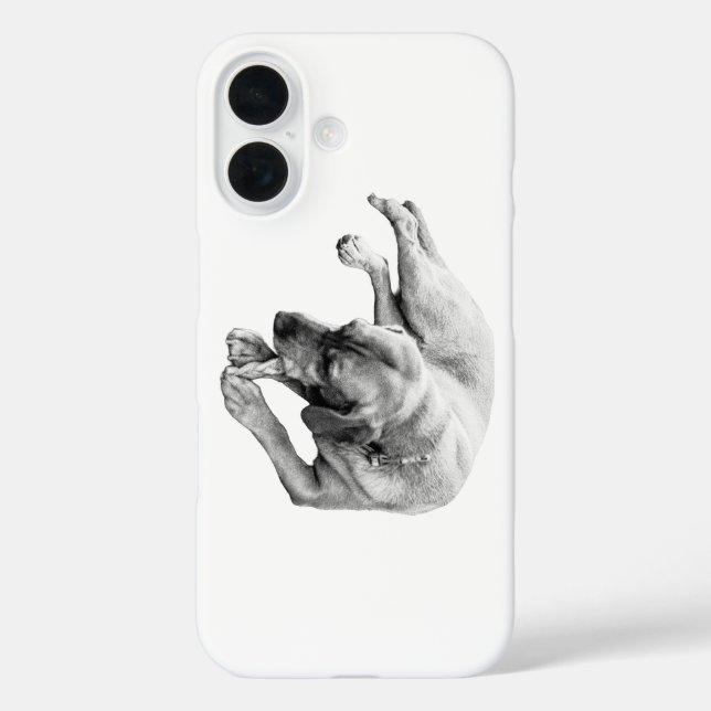 Funda iPhone 16 Espíritu de juego (Reverso )