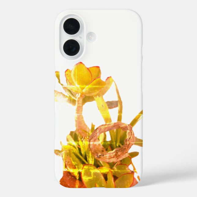 Funda iPhone 16 estilo y diseño de apple iphone 16 (Reverso )