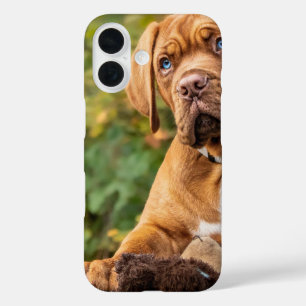 Funda iPhone 16 Estuche Cute Dog Phone