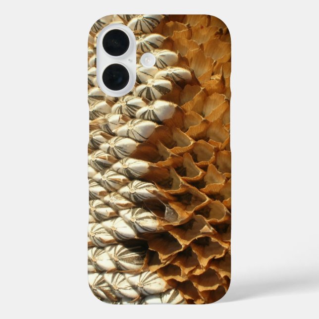 Funda iPhone 16 Estuche de teléfono - Cabeza de girasol seco (Reverso )