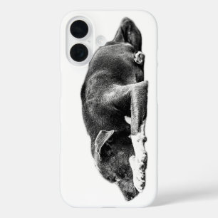 Funda iPhone 16 Estuche de teléfono de Pitbull Mix Calm Gaze Resti