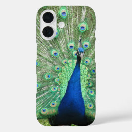 Funda iPhone 16 Estuche de teléfono - Orgulloso Peacock