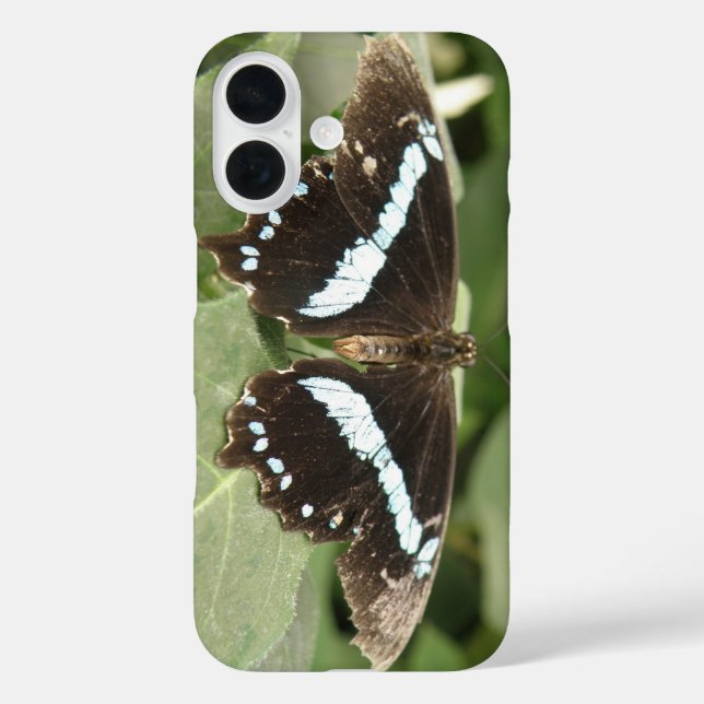Funda iPhone 16 Estuche para iPhone de mariposa tropical en blanco (Reverso )