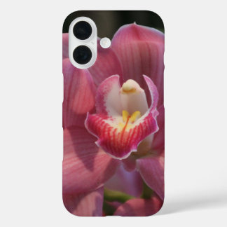 Funda iPhone 16 Estuche para iPhone Orchid Petals