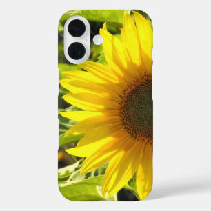 Funda iPhone 16 Estuche para iPhone Sunflower Glow