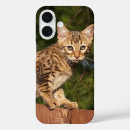 Funda iPhone 16 Estuche para teléfono de Savannah Cat