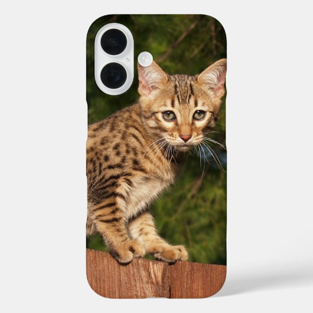 Funda iPhone 16 Estuche para teléfono de Savannah Cat (Reverso )