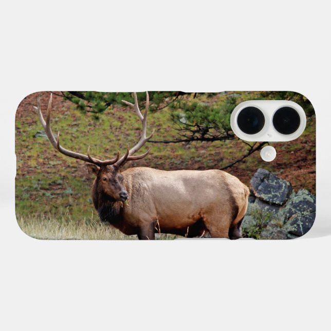 Funda iPhone 16 Estuche para teléfono Elk de Colorado (Reverso (Horizontal))