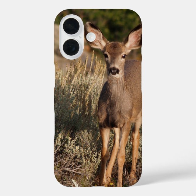 Funda iPhone 16 Estuche para teléfono Fawn (Reverso )