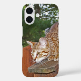 Funda iPhone 16 Estuche Savannah Cat para iPhone