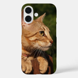 Funda iPhone 16 Estuche Savannah Cat para iPhone