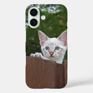 Funda iPhone 16 Estuche Savannah Cat Phone