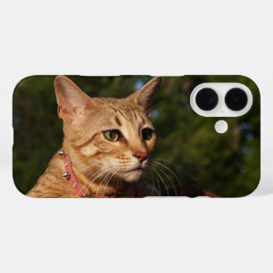 Funda iPhone 16 Estuche Savannah Cat Phone
