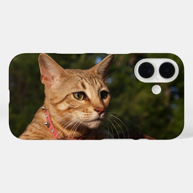 Funda iPhone 16 Estuche Savannah Cat Phone (Reverso (Horizontal))