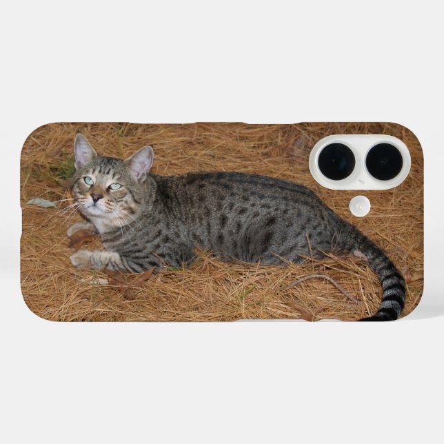 Funda iPhone 16 Estuche Savannah Cat Phone (Reverso (Horizontal))
