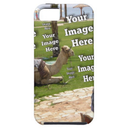 Funda iPhone 16 Fab Diversión Vacacional Crea Tu Propia