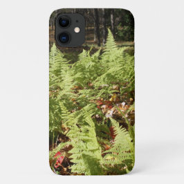Funda iPhone 16 Fall Ferns