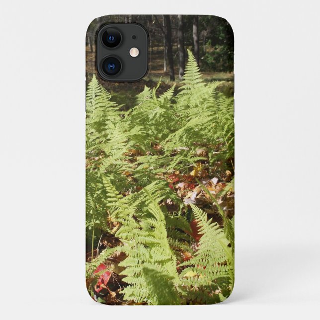 Funda iPhone 16 Fall Ferns (Reverso)