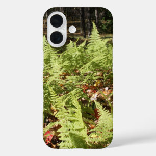 Funda iPhone 16 Fall Ferns