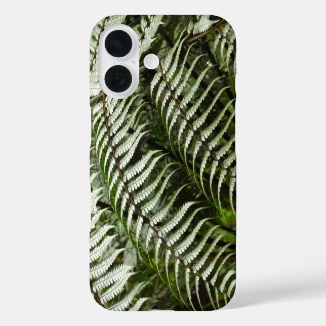Funda iPhone 16 Fern Fronds II Naturaleza verde oscura (Reverso )