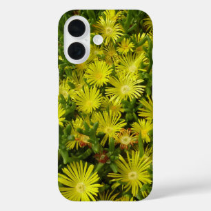 Funda iPhone 16 Flores Amarillas de Planta de Hielo Dorado