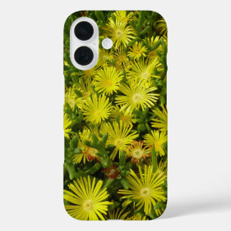 Funda iPhone 16 Flores Amarillas de Planta de Hielo Dorado