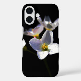 Funda iPhone 16 Flores de pratensis cardamina iphcnm