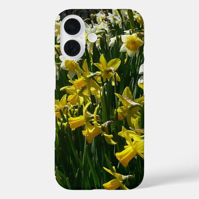 Funda iPhone 16 Flores de primavera de los Daffodils amarillos y b (Reverso )