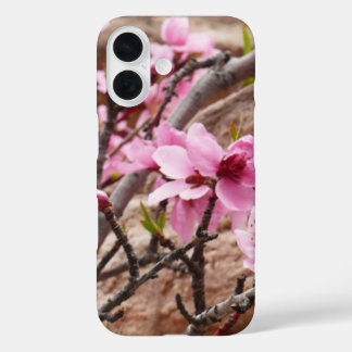 Funda iPhone 16 Flores de primavera en las rocas de Zion