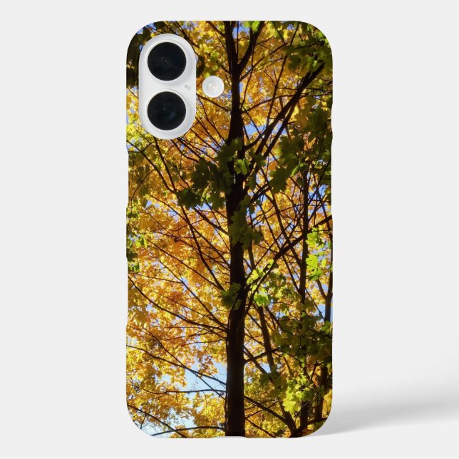 Funda iPhone 16 Follaje de otoño amarillo y verde (Reverso )