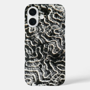 Funda iPhone 16 Foto abstracta de la naturaleza Coral negro y blan