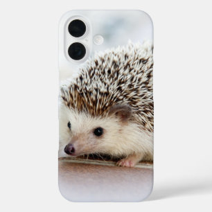 Funda iPhone 16 Foto de erizo bebé lindo
