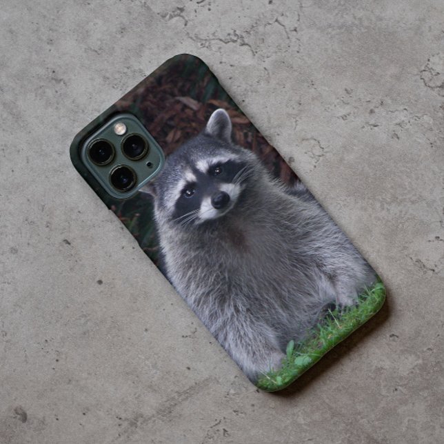 Funda iPhone 16 Foto de vida silvestre de Cute Forest Raccoon (In Situ)
