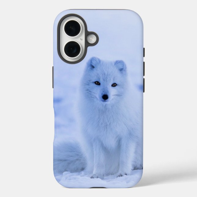 Funda iPhone 16 Fotografía de Fox Ártica, Islandia (Reverso )