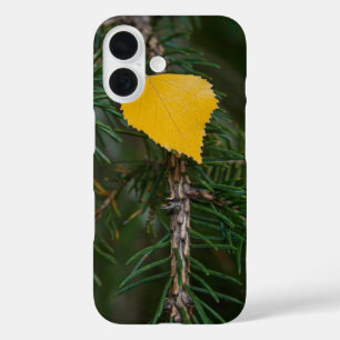 Funda iPhone 16 Fotografía de hoja de álamo temblón amarillo de ot