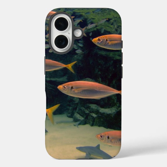 Funda iPhone 16 Fotografía subacuática del pez rosa Shoal (Reverso )