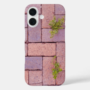 Funda iPhone 16 Fotos de piedras de pavimento y malezas en el cami