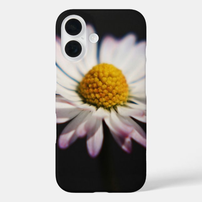 Funda iPhone 16 Frecuente Daisy iphcna (Reverso )