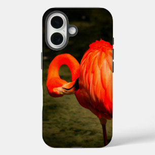 FUNDA iPhone 16 FUNDÁ DE IPHONE DE APPLE CON DISEÑO DE FLAMENCO