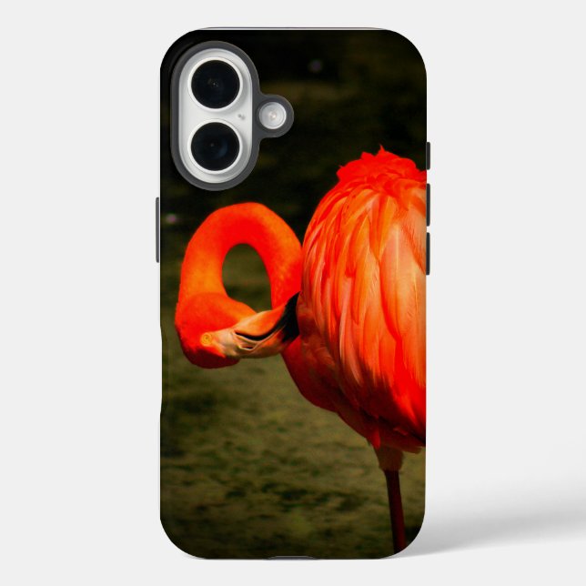 FUNDA iPhone 16 FUNDÁ DE IPHONE DE APPLE CON DISEÑO DE FLAMENCO (Reverso )