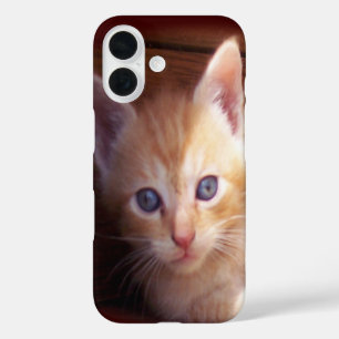 Funda iPhone 16 Gatitos