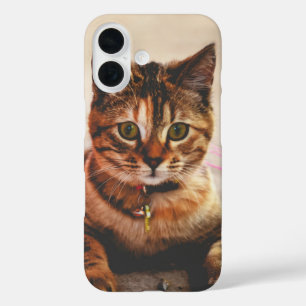 Funda iPhone 16 Gato Atigrado Joven Adorable Gatito Mascota