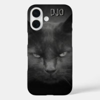 Gato negro mágico
