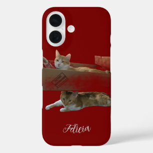 Funda iPhone 16 Gatos Jengibre Divertidos, Imagen y Foto Personali