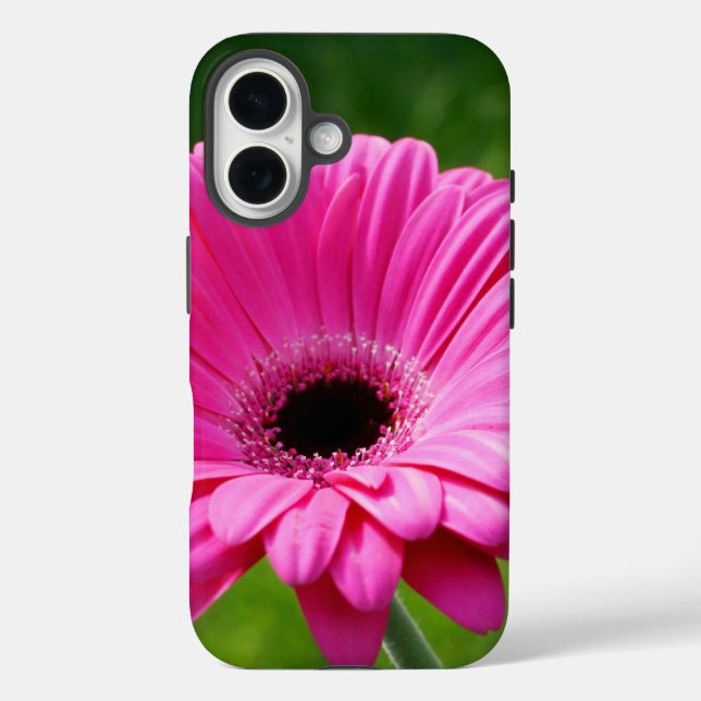Funda iPhone 16 Gerbera Daisy rosa y verde (Reverso )