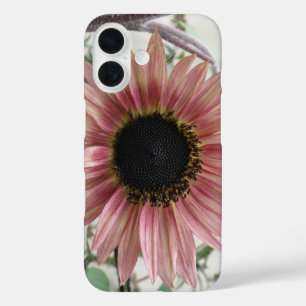 Funda iPhone 16 Girasol Rosa Pálido