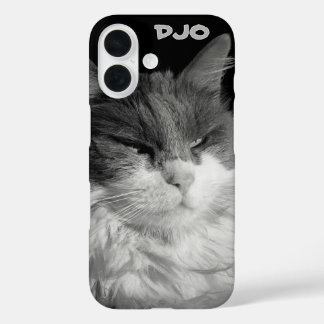 Funda iPhone 16 Glare of the Bat Cat