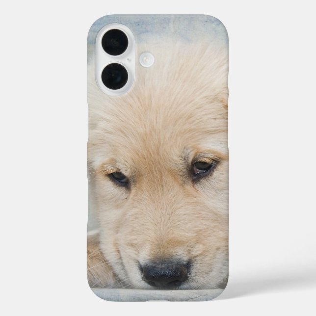 Funda iPhone 16 Golden Retriever Puppy (Reverso )
