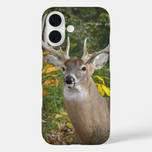 Funda iPhone 16 Gran Ciervo En El Bosque