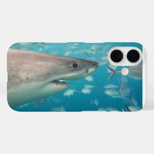 Funda iPhone 16 Gran tiburón blanco